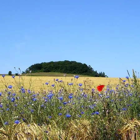 Hafenhaeuser Wiek 17 Wiek auf Rügen