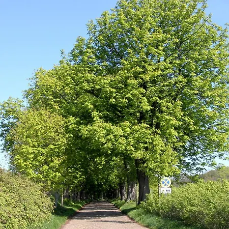 Hafenhaeuser Wiek 17 Apartmán *